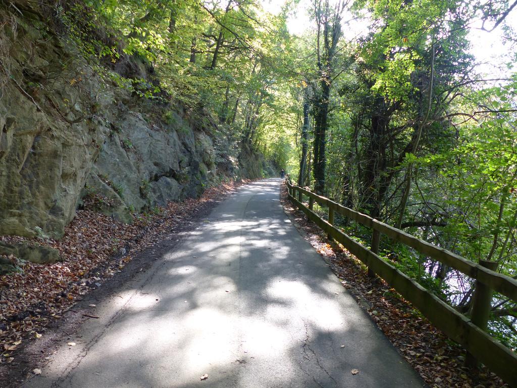 Ferienhaus Fischbachtal Heimbach Exteriér fotografie