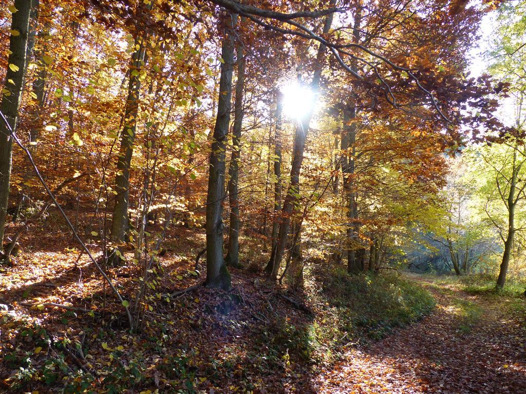 Ferienhaus Fischbachtal Heimbach Exteriér fotografie